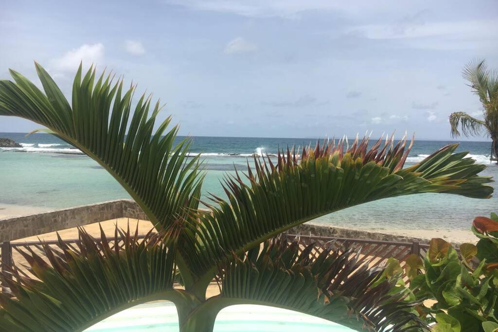 Superbe Studio Superieur Neuf Avec Balcon Saint-Francois (Grande-Terre) Ngoại thất bức ảnh