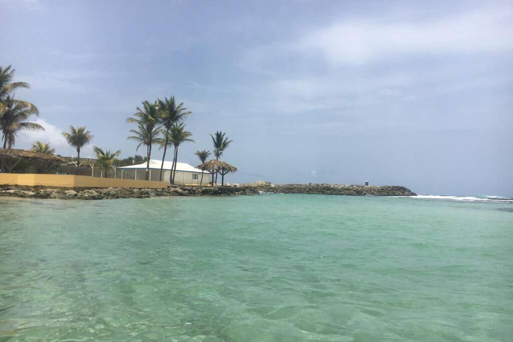 Superbe Studio Superieur Neuf Avec Balcon Saint-Francois (Grande-Terre) Ngoại thất bức ảnh